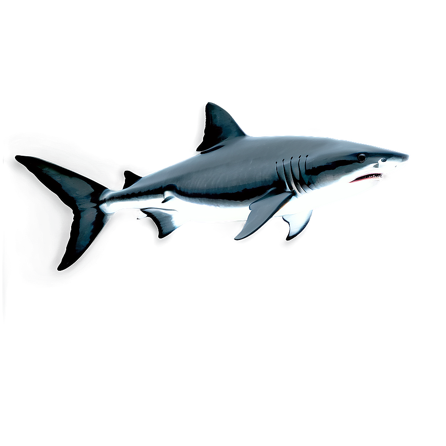 Tiger Shark Black And White Png 88 PNG Image