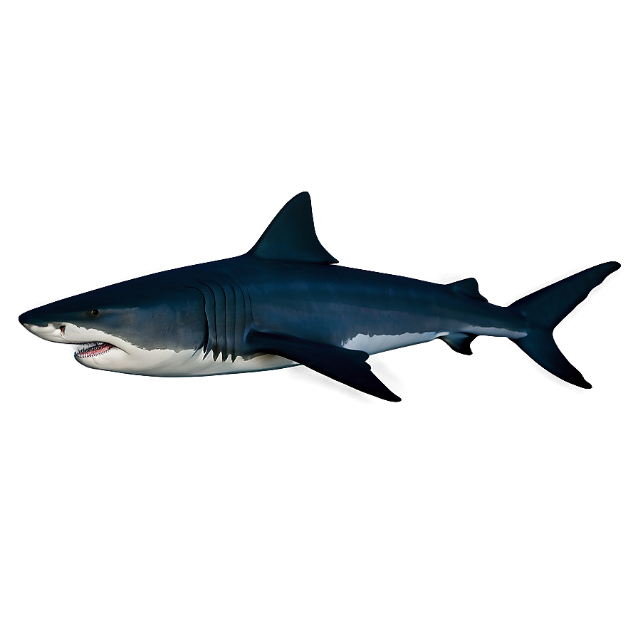 Tiger Shark Silhouette Png 1 PNG Image