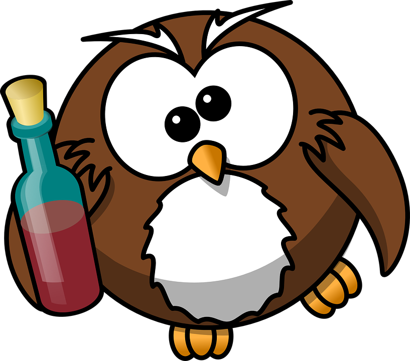 Tipsy Cartoon Owlwith Bottle PNG Image