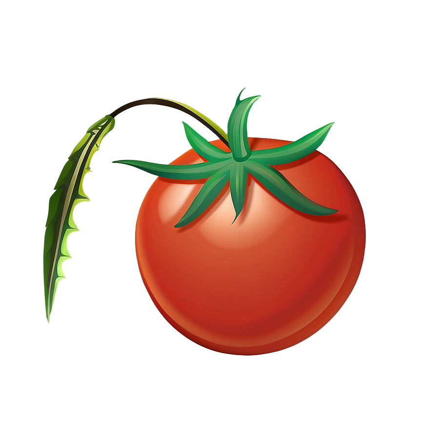 Tomato Cartoon Png Yln PNG Image