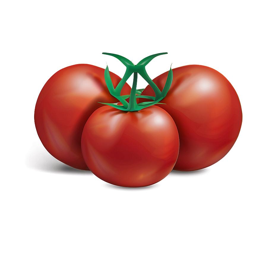 Tomato Drawing Png 05242024 PNG Image