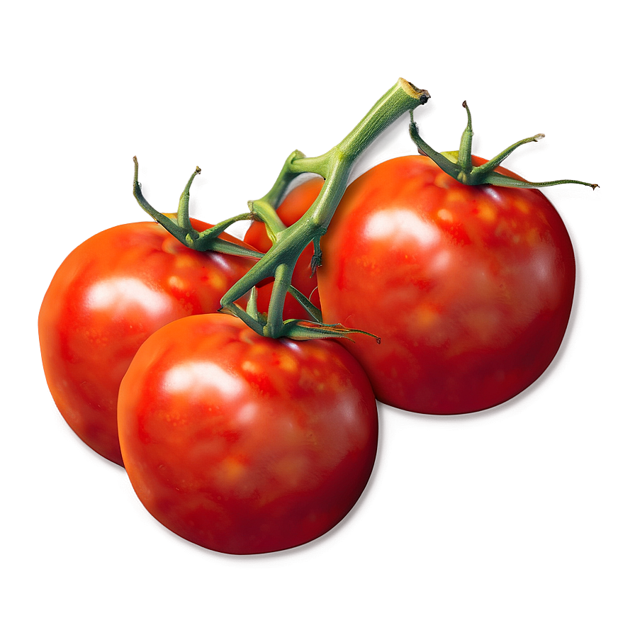 Tomato Icon Png Jgx PNG Image