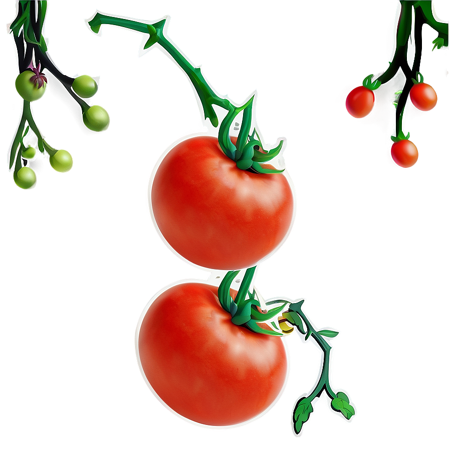 Tomato On Vine Png 40 PNG Image