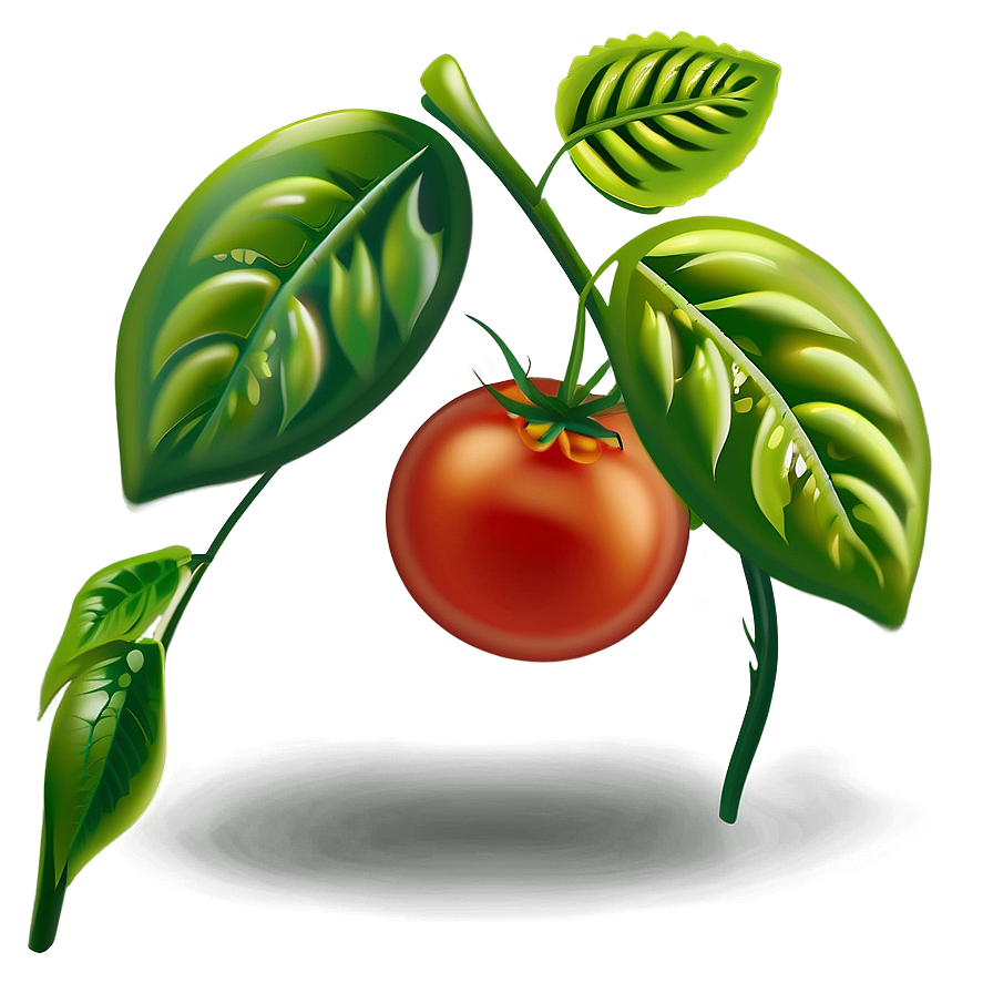 Tomato Plant Pest Png 06212024 PNG Image