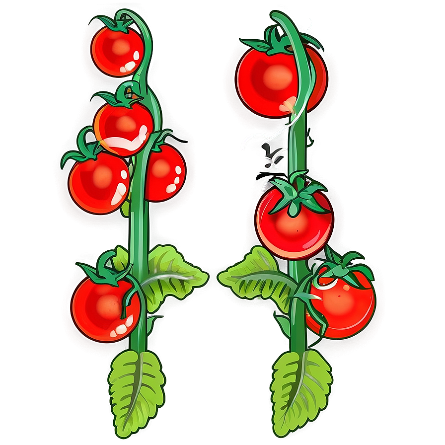 Tomato Plant Support Png 71 PNG Image