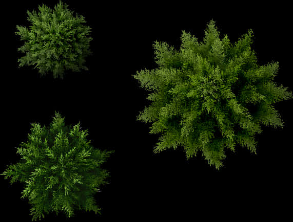 Top View Green Trees Isolatedon Black PNG Image