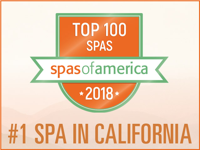 Top100 Spasof America2018 Award PNG Image