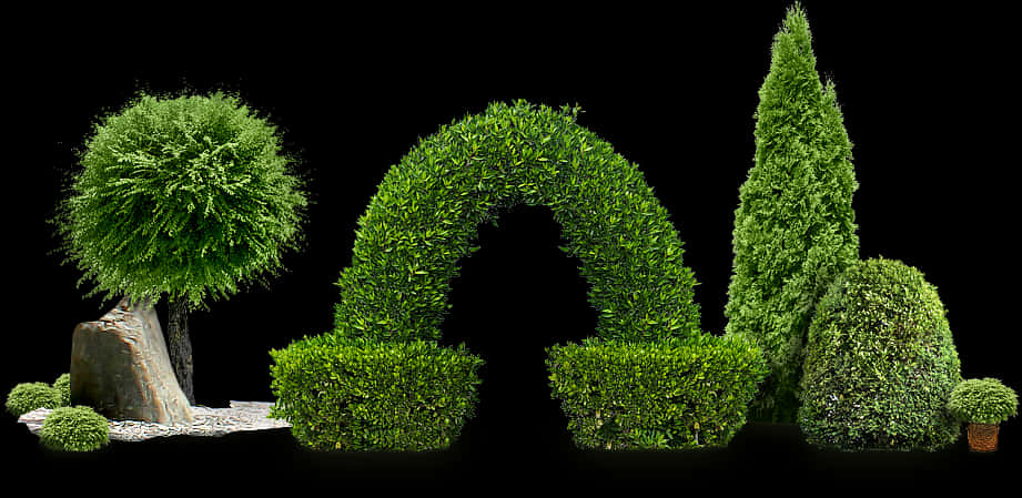 Topiary Garden Variety PNG Image