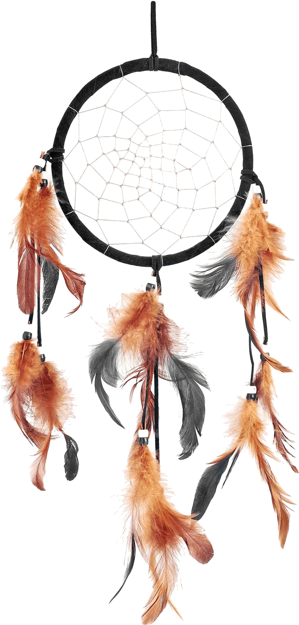 Traditional Dreamcatcherwith Feathers PNG Image