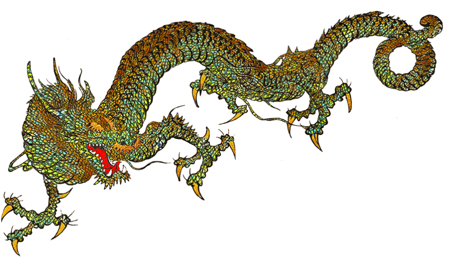 Traditional Japanese Dragon Artwork PNG Image