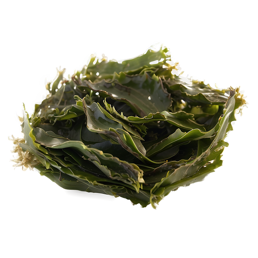 Traditional Japanese Seaweed Png 05242024 PNG Image