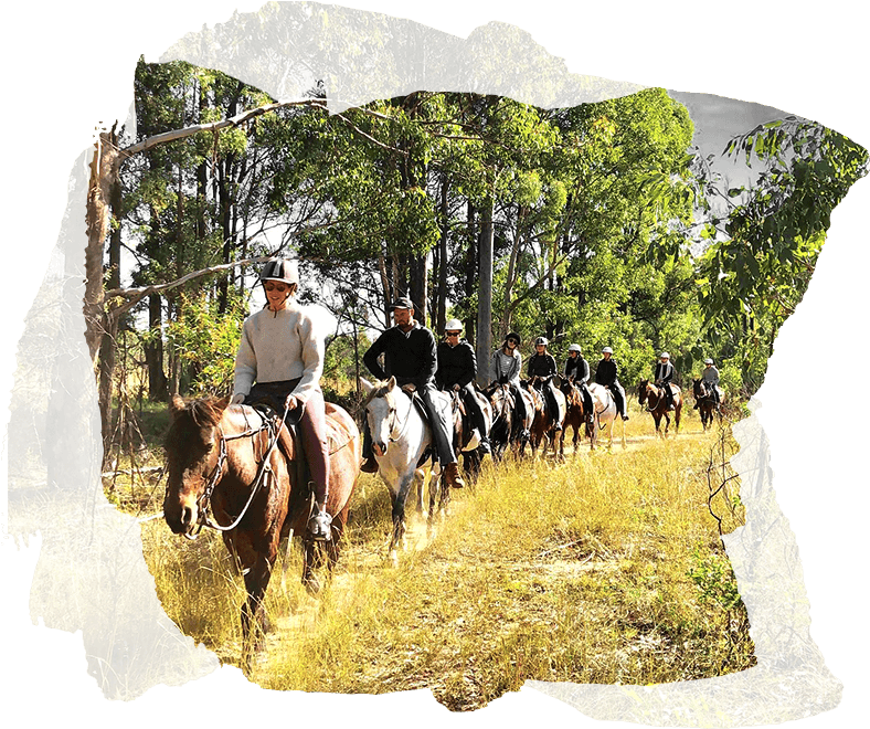 Trail Ride Procession Equestrian Adventure.jpg PNG Image