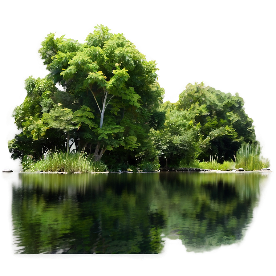 Tranquil Pond Trees Png Lqj PNG Image