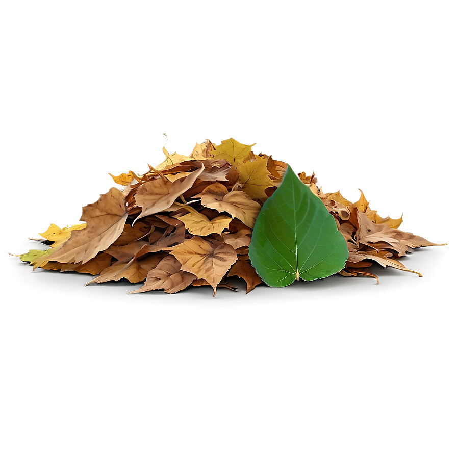 Transparent Background Leaf Pile Png Mno94 PNG Image