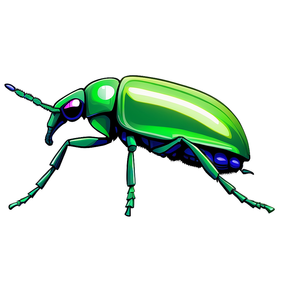 Transparent Background Weevil Png 06292024 PNG Image