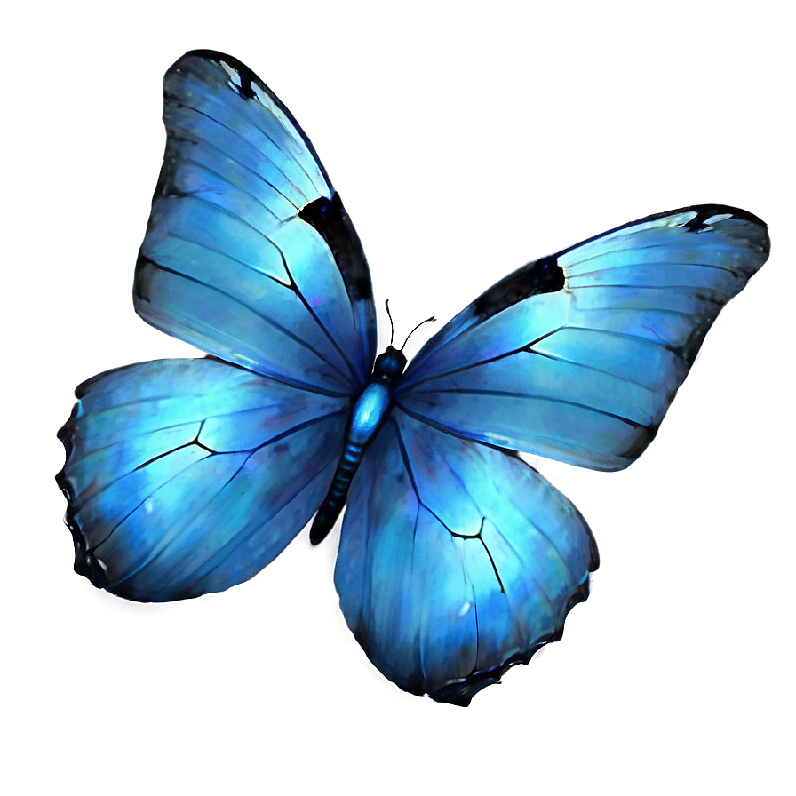 Transparent Blue Butterflies Png Nmx74 PNG Image