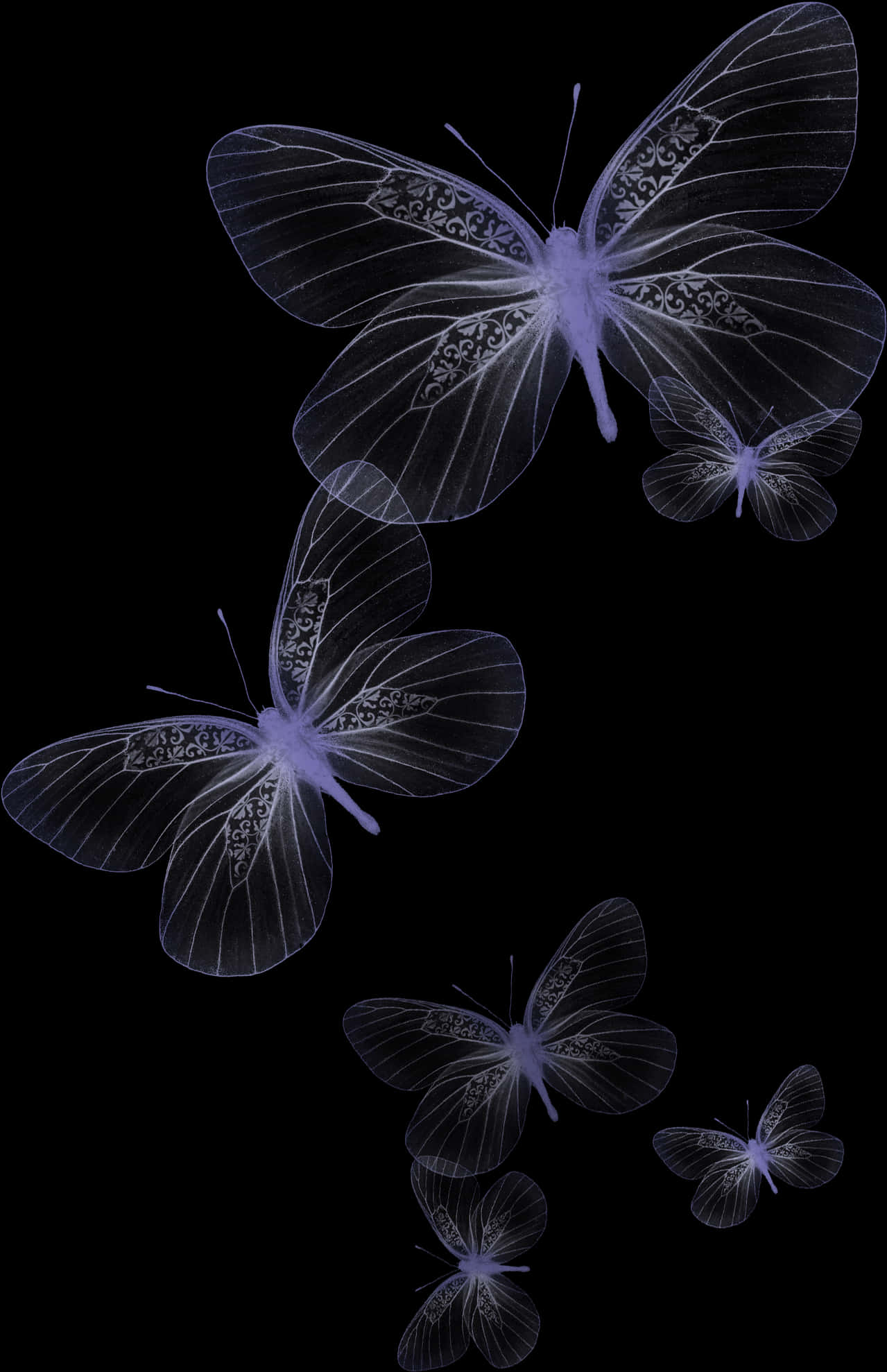 Transparent Butterflieson Black Background PNG Image