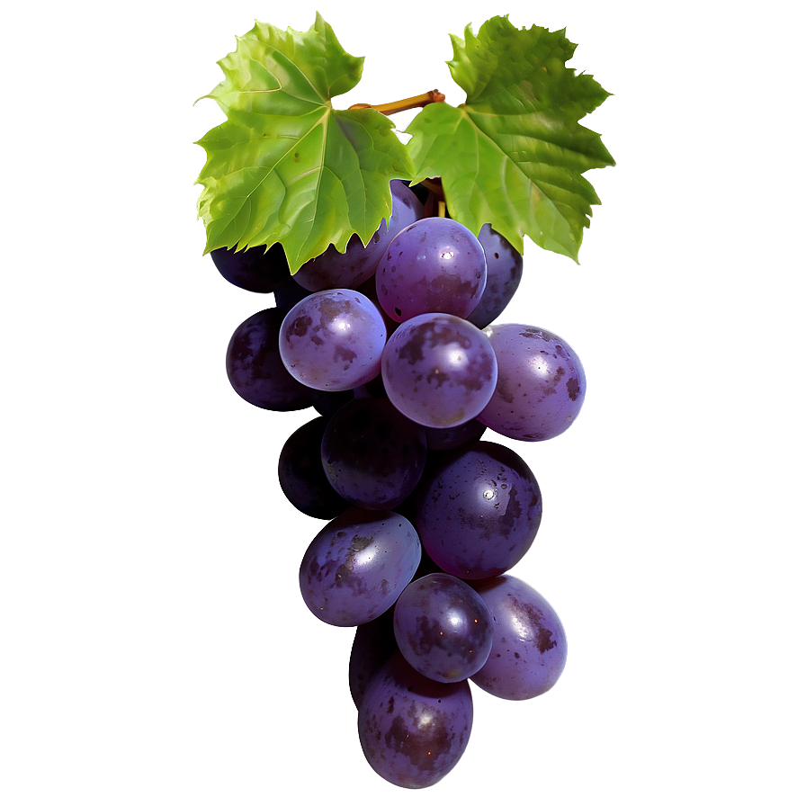 Transparent Grape Png 90 PNG Image