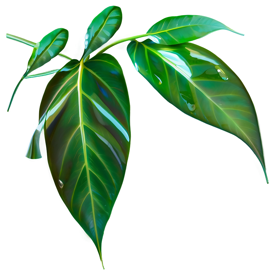 Transparent Leaves Png Jtt15 PNG Image