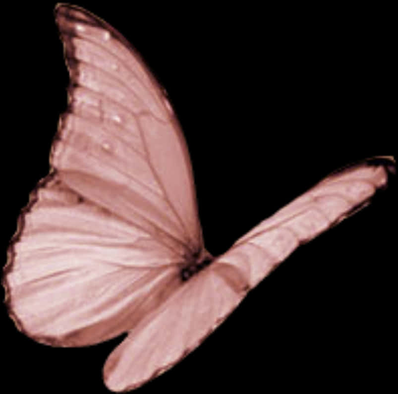 Transparent Pink Butterfly PNG Image