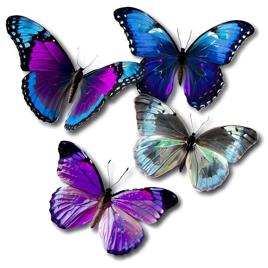 Transparent Purple Butterfly Png 26 PNG Image