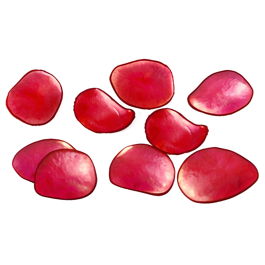 Transparent Rose Petals Png Wct87 PNG Image