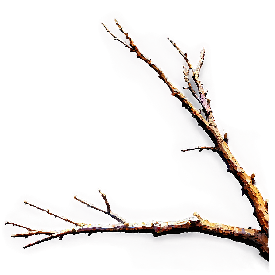 Tree Branch At Sunset Png Gmi PNG Image