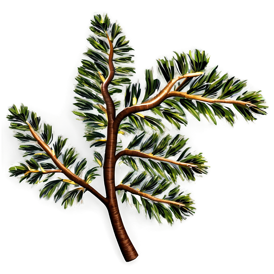 Tree Branch For Decoration Png 05252024 PNG Image