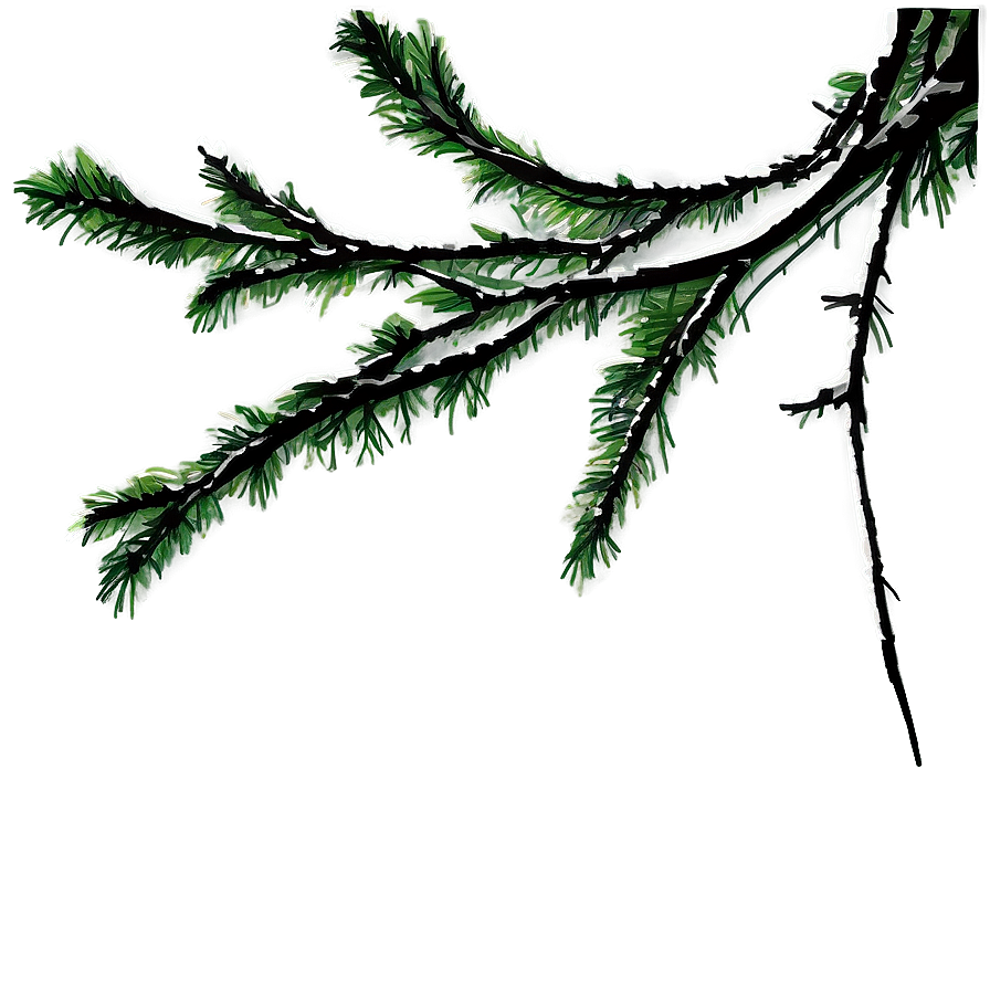 Tree Branches Sunset Png 37 PNG Image