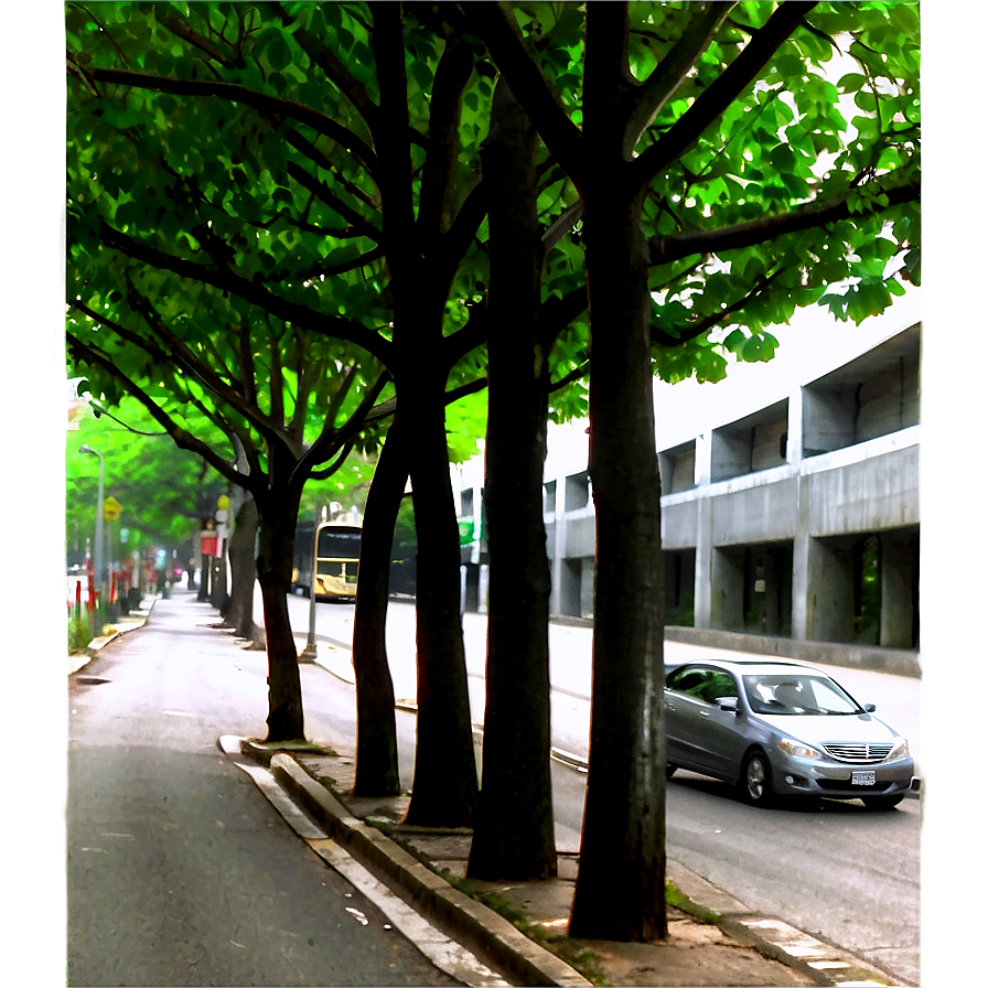 Tree Lined Street Png 3 PNG Image