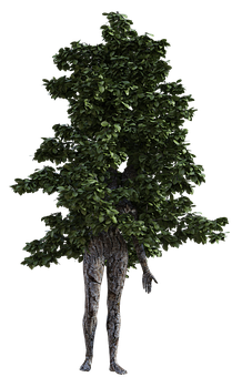 Tree Person Hybrid Art PNG Image