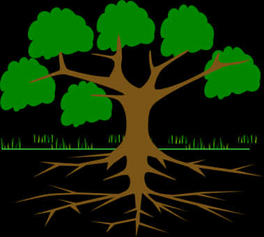 Tree Roots System Illustration PNG Image