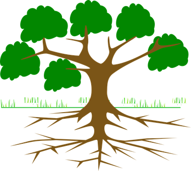 Tree Roots Vector Illustration PNG Image