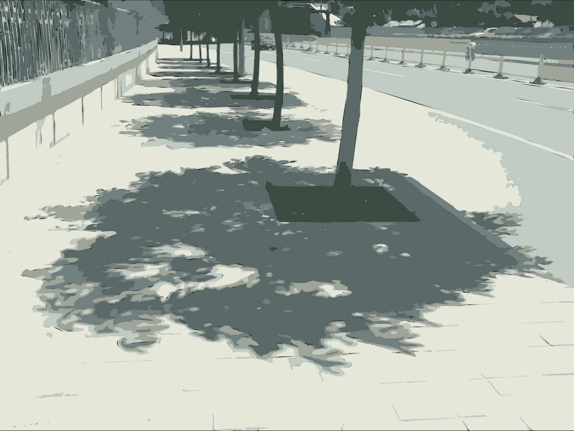 Tree Shadowon Sidewalk PNG Image