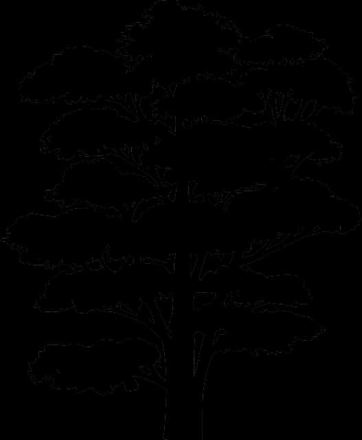 Tree Silhouette Outline.png PNG Image