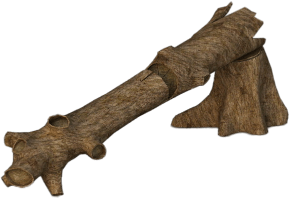 Tree Trunk Texture3 D Render PNG Image