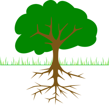 Tree_with_ Roots_ Vector_ Graphic PNG Image