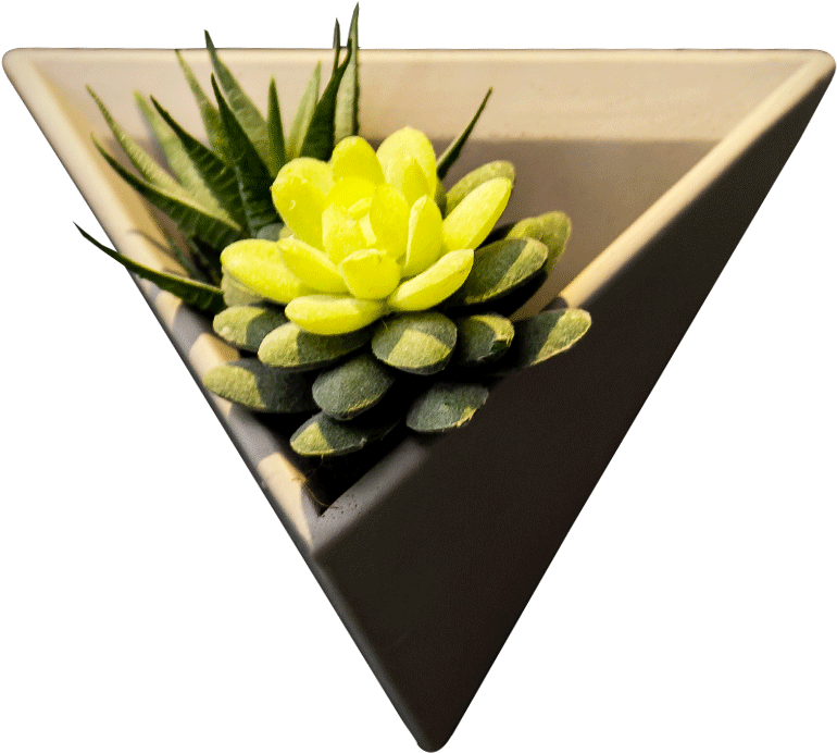 Triangular Planter With Succulent PNG Image