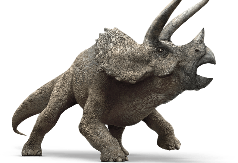 Triceratops Model Jurassic World PNG Image