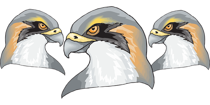 Triptych Eagle Heads Artwork PNG Image