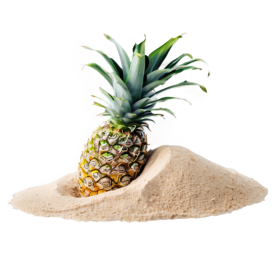 Tropical Beach Sand Png 45 PNG Image