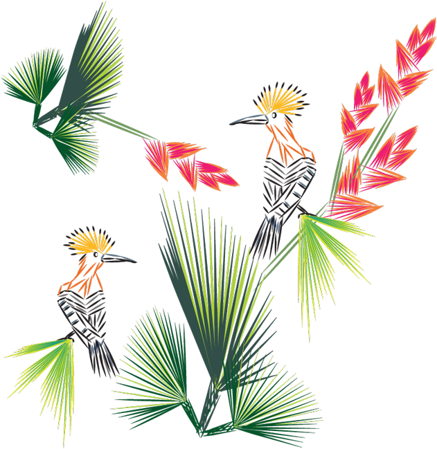 Tropical Cockatoos Floral Artwork PNG Image