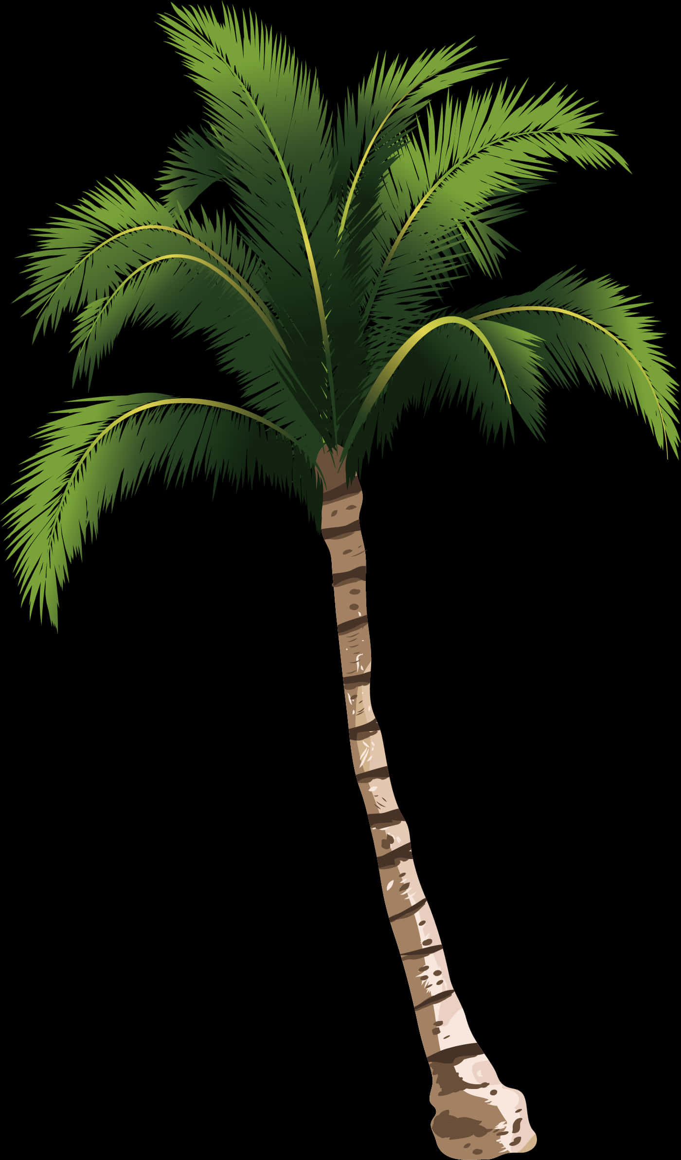 Tropical Coconut Tree Illustration PNG Image