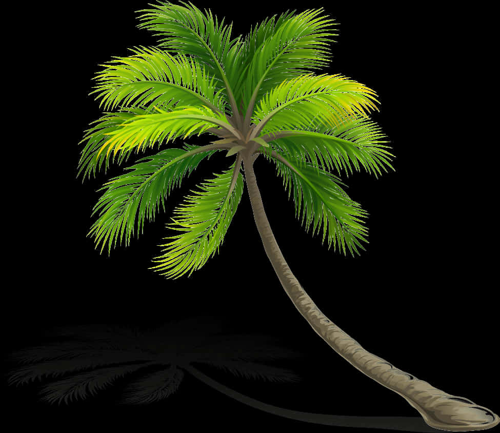 Tropical Coconut Tree Illustration PNG Image