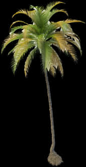 Tropical Coconut Tree Isolated PNG Image