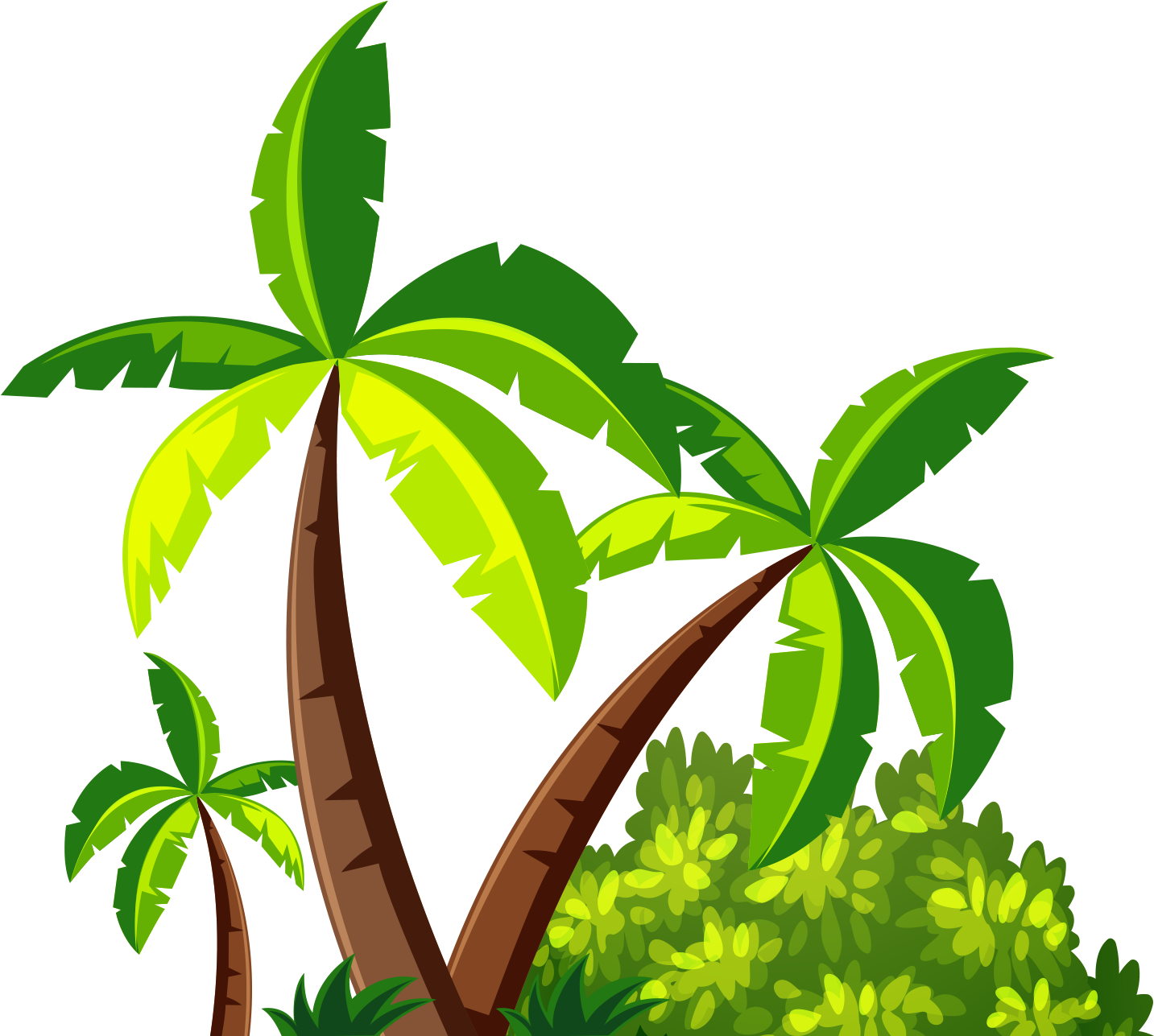 Tropical Coconut Trees Illustration PNG Image