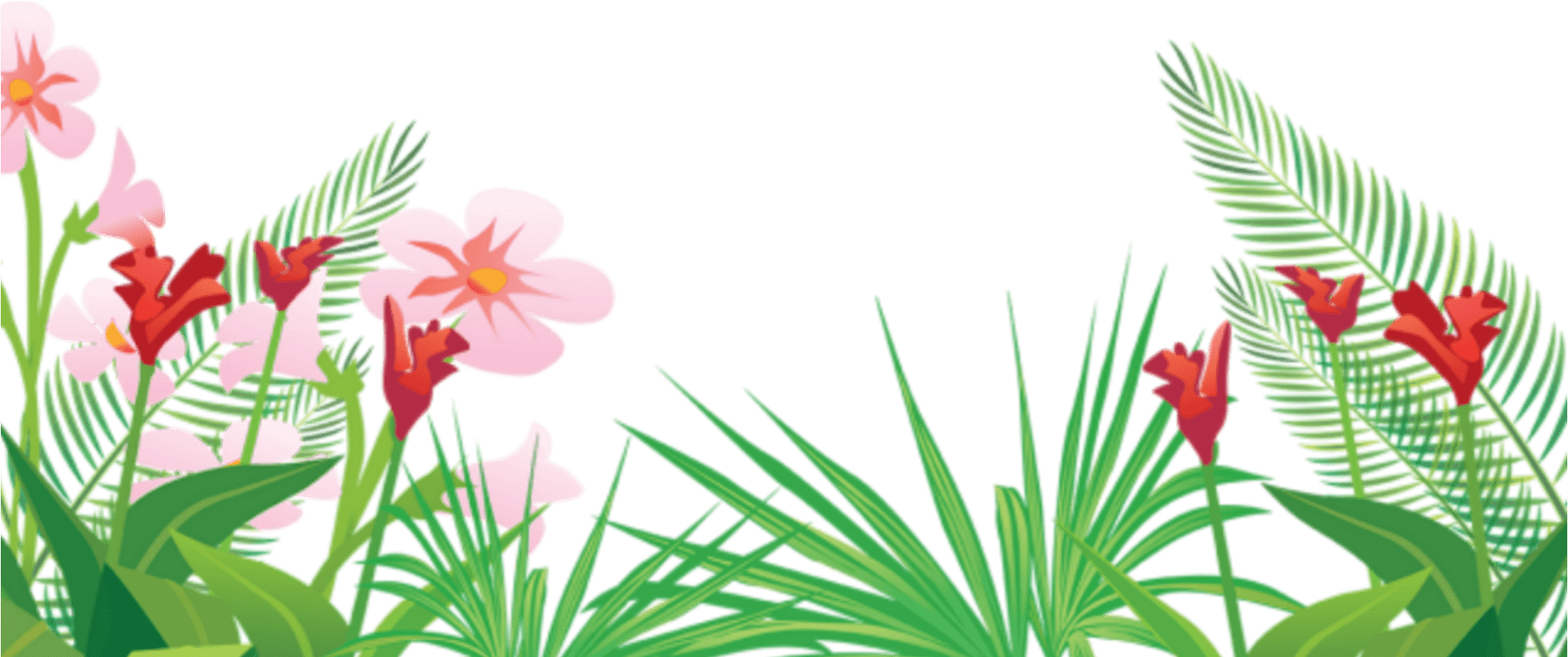 Tropical Flora Illustration PNG Image