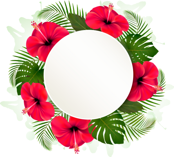 Tropical Floral Frame Template PNG Image