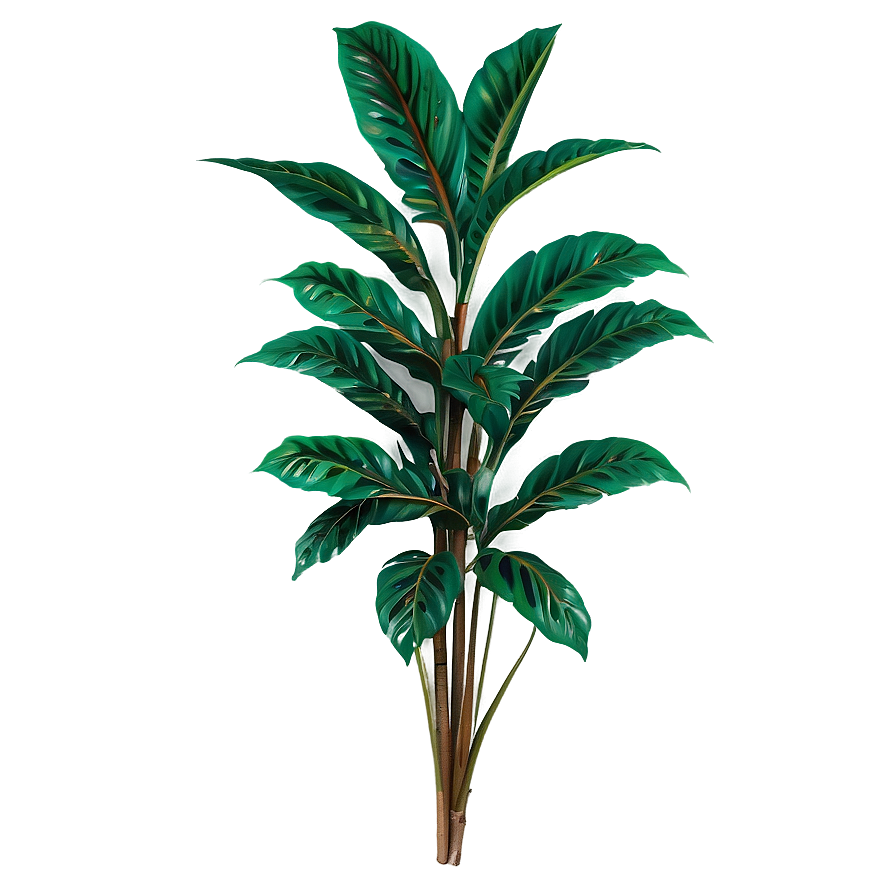 Tropical Flower Bush Png 06122024 PNG Image