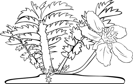 Tropical Flowerand Palm Silhouette PNG Image